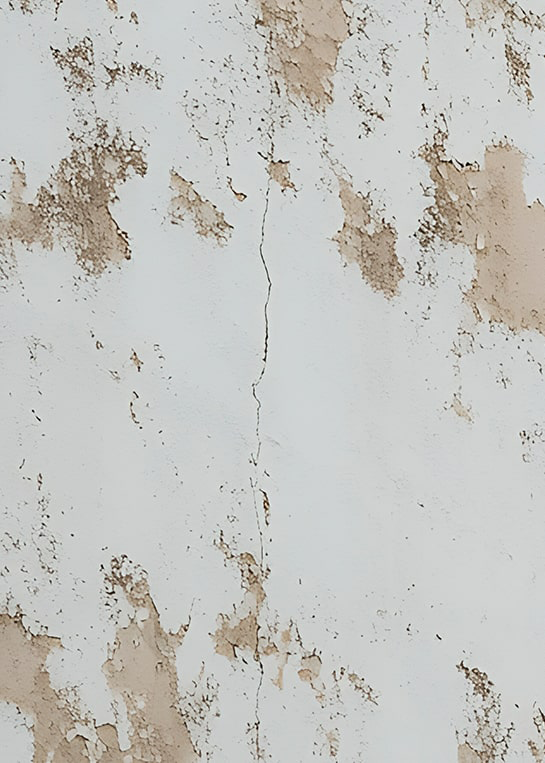 Entreprise de peinture à Plabennec et Brest